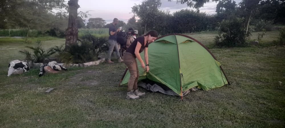 Guests camping on the lawns